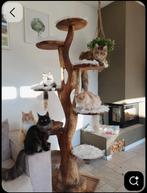 Gratis Hardsoort boomstam, Nieuw, Ophalen of Verzenden, 250 tot 300 cm, 50 mm of meer