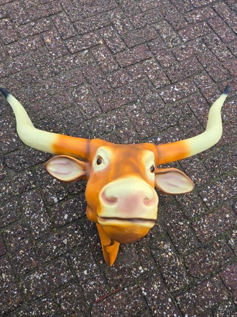 Koeien kop, Ophalen, Hardinxveld-Giessendam, Handelsonderneming.devlinder@outlook.com, Nieuw