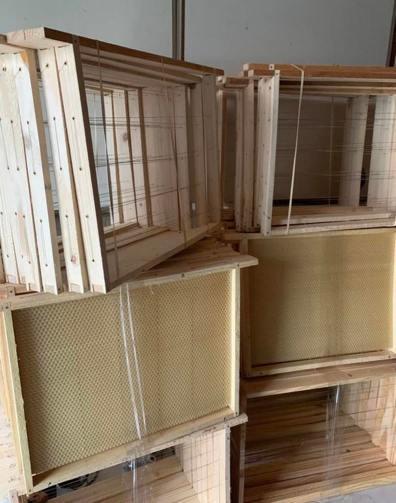 Nieuwe ramen voor bijenkasten, Bijen