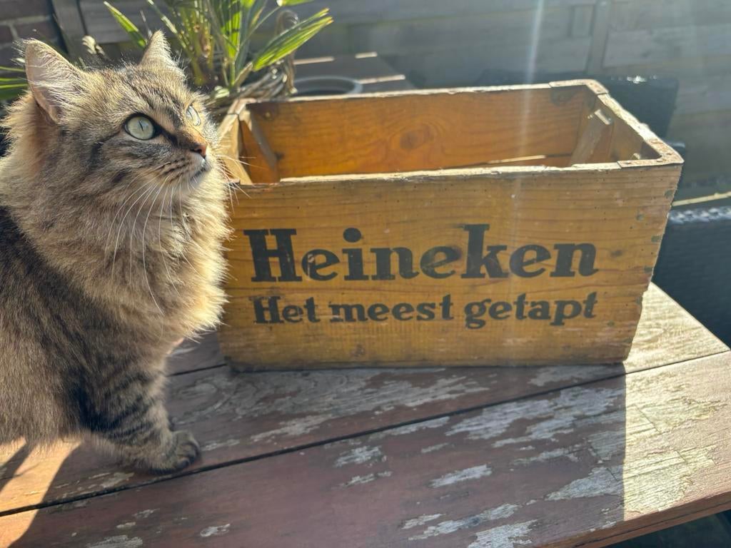 Heineken bierkrat jaren 60 izgs,40€ inc verzenden!, Ophalen of Verzenden, Zo goed als nieuw, Heineken