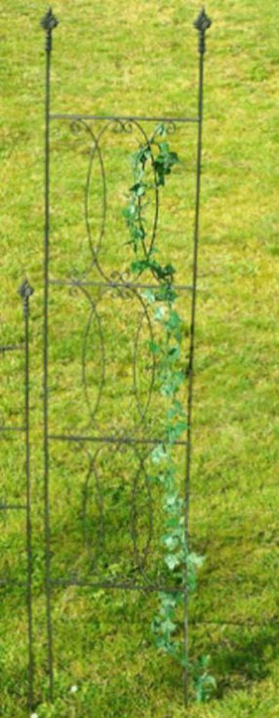 Mooi hoog Plantenrek, plantenklimrek, tuinhek, rek, zwart, Ophalen of Verzenden, Nieuw