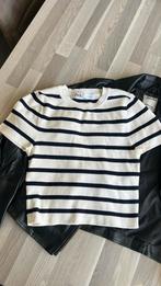 Stoer Indian leren biker jasje & Zara gestreepte top, Ophalen, Zo goed als nieuw, Maat 34 (XS) of kleiner, Zwart