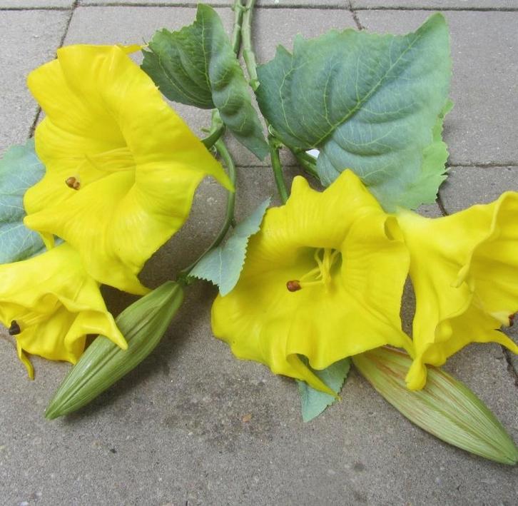 OPRUIMING - DATURA KUNST TAK - REAL TOUCH - 3,50 NU 2 EURO, Huis en Inrichting, Woonaccessoires | Kunstplanten en Kunstbloemen