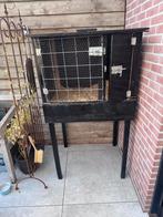 Massief Konijnenhok van duplex, op poten., Dieren en Toebehoren, Ophalen, Gebruikt, 90 cm of meer, Konijn