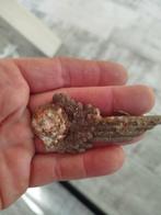 Vondst kokarde duits Luftwaffe wo2, Ophalen of Verzenden, Luchtmacht, Duitsland, Embleem of Badge