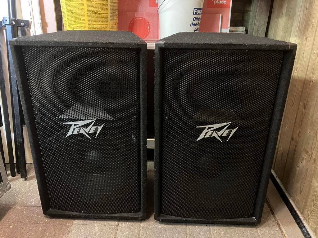 Peavey Toppen 15 inch PV115 400 watt RMS PV 115, Ophalen, Zo goed als nieuw, Minder dan 500 watt, P.A.