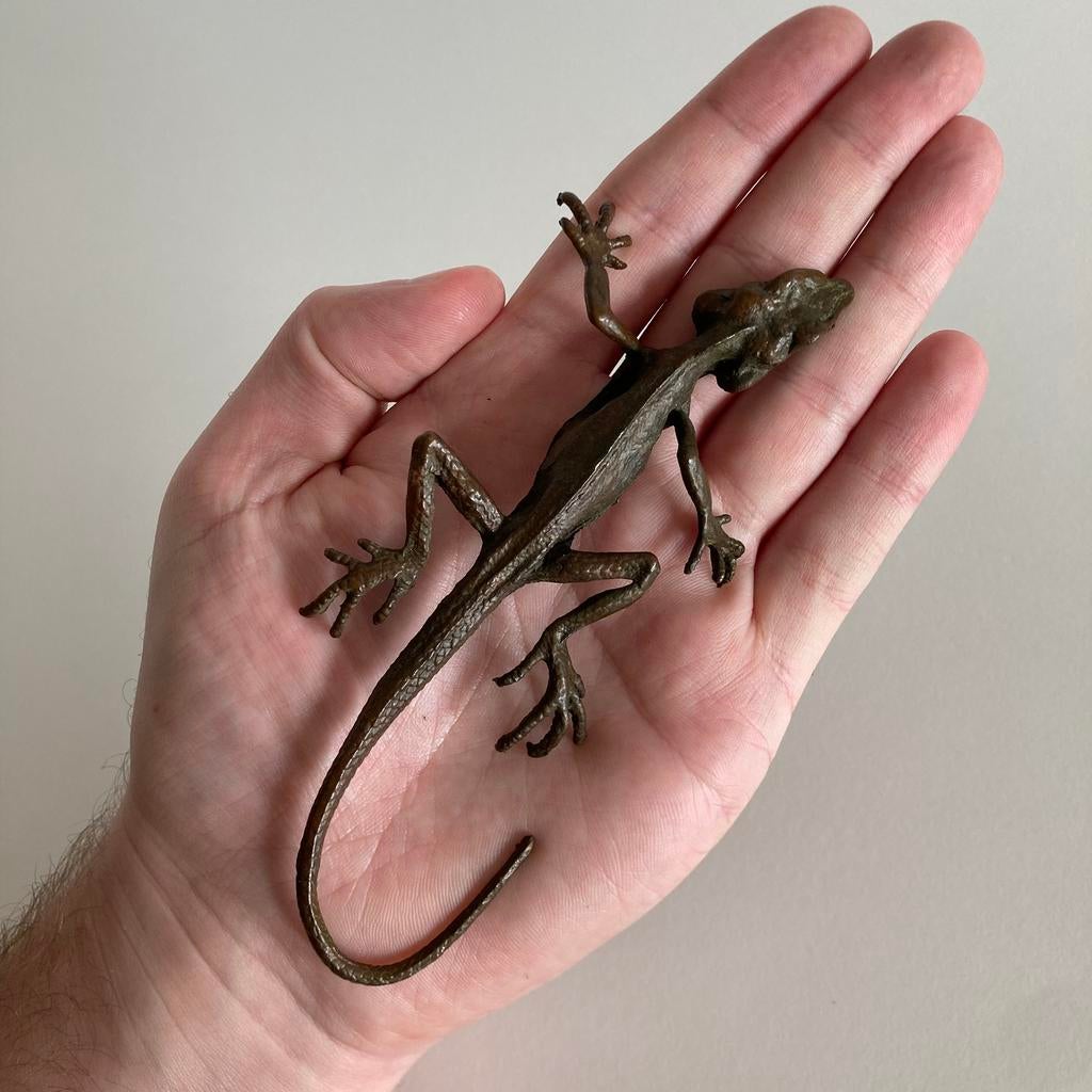 Hagedis Brons, Ophalen of Verzenden