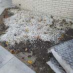 Carrara grind,stenen,  incl honingraat mat, gratis, Tuin en Terras, Grind, Keien en Split, Ophalen of Verzenden, Zo goed als nieuw