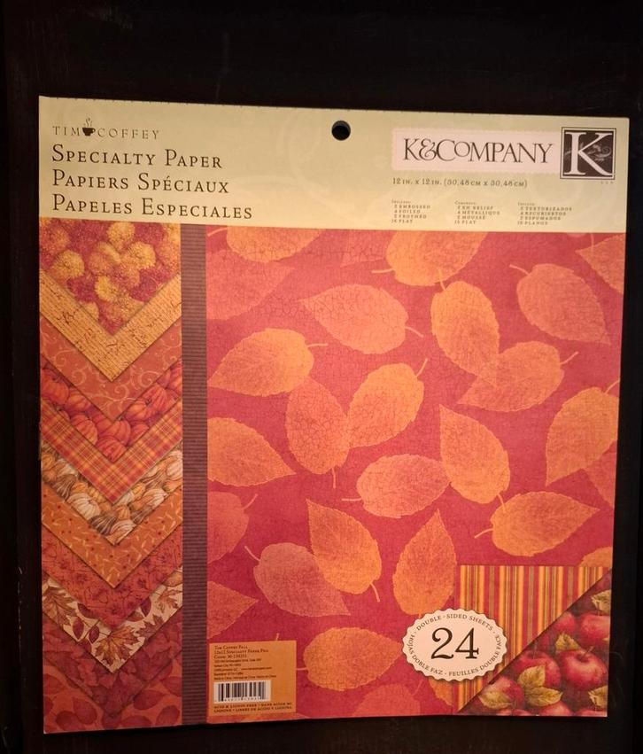 Scrapbook Papier - K&Company - 23 Vellen, Hobby en Vrije tijd, Scrapbooking, Papier of Karton, Ophalen of Verzenden