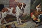 belgie 1911 hond sint bernard haan kip kuikentje in bakje, Verzamelen, Ansichtkaarten | Themakaarten, Gelopen, Overige thema's