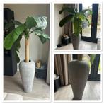 Kunstplant met Pot/Vaas, Ophalen, Zo goed als nieuw, Binnen