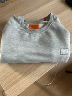 Alpha Industries Sweater L  Topstaat  Iconisch Design, Ophalen of Verzenden, Zo goed als nieuw, Grijs