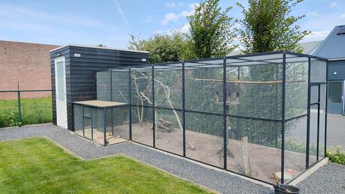 Gezocht koppels grasparkieten, Dieren en Toebehoren, Vogels | Parkieten en Papegaaien, Parkiet, Meerdere dieren