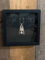 Lijst met Vleermuis skelet, Verzamelen, Ophalen of Verzenden, Nieuw, Insect, Opgezet dier