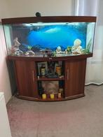 Juwel Vision 450L met toebehoren, Dieren en Toebehoren, Vissen | Aquaria en Toebehoren, Ophalen, Zo goed als nieuw, Leeg aquarium