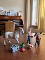 Schleich dierenarts, Kinderen en Baby's, Speelgoed | Overig, Ophalen, Gebruikt, Jongen of Meisje