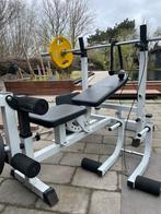 Fitnesstoestel/halterbank met diverse plates, Sport en Fitness, Gebruikt, Rug, Ophalen