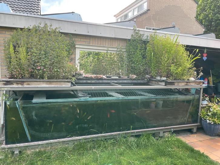 Groot buiten aquarium met heliofyten filter, Dieren en Toebehoren, Vissen | Aquaria en Toebehoren, Gebruikt, Gevuld zoetwateraquarium