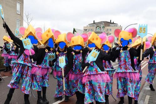 LAATSTE 8 muizenpakken maat M/L met 4 kaaskoppen, Kleding | Dames, Carnavalskleding en Feestkleding, Zo goed als nieuw, Kleding