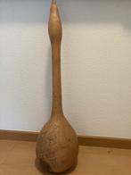 Kalebas, Ophalen of Verzenden, Volle zon