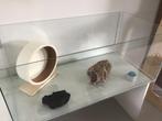 Terrarium, Dieren en Toebehoren, Overige typen, Zo goed als nieuw, Hamster, 75 tot 110 cm