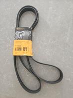 Continental Multiriem 7PK2035 - Nieuw!, Ophalen, Nieuw, Universele onderdelen