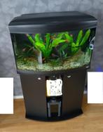 Aquarium Ferplast Cayman (geheel compleet), Ophalen, Zo goed als nieuw, Gevuld zoetwateraquarium