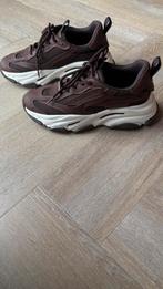 Steve Madden sneakers, bruin. Maat 41, Kleding | Dames, Schoenen, Ophalen of Verzenden, Zo goed als nieuw, Bruin, Sneakers of Gympen