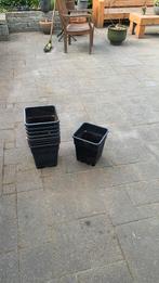 5 liter bakker 9stuks, Tuin en Terras, Bloembakken en Plantenbakken, Ophalen, Kunststof, Minder dan 30 cm, Minder dan 60 cm