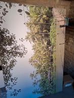 Gratis mooi groot canvas, Ophalen