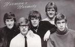 HERMAN'S HERMITS Vroege kaart NO MILK TODAY, Verzenden, 1960 tot 1980, Ongelopen, Sterren en Beroemdheden
