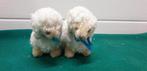 -	Schapenknuffels en beeldjes, Ophalen of Verzenden, 'T Olde Gre-j, Info@toldegrej.nl, Endepoelstraat 20f Didam