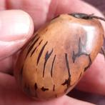 Netsuke van Vegetable Ivory Tagua Nut, Verzenden, Overige materialen, Overige voorstellingen