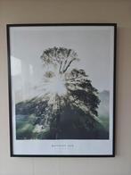 1 x 40x50 fotolijst met poster, Ophalen, Hout, Minder dan 50 cm, Minder dan 50 cm