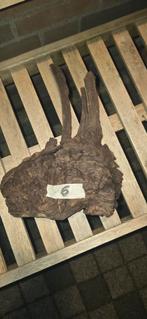 hout aquariumhout, Ophalen