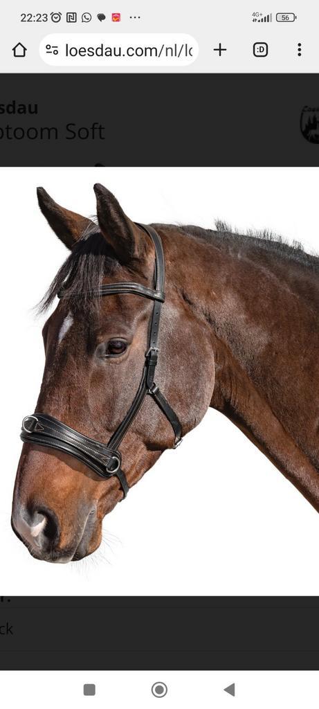 bitloos kaptoom hoofdstel, z.g.a.n, Dieren en Toebehoren, Paarden en Pony's | Hoofdstellen en Tuigage, Zo goed als nieuw, Recreatie