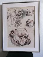 Bulldog Honden Origineel Litho Diana Thorne Lijst 1944, Ophalen of Verzenden