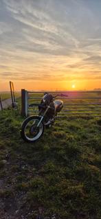 Schakelbrommer project gezocht, Ophalen