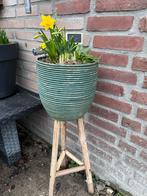 Bloempot op standaard met bloembollen, Ophalen, Overige materialen, Gebruikt, Rond