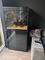 Aqualantis kubus aquarium, Ophalen, Gebruikt, Leeg aquarium