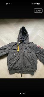 Parajumper winter jacket, Maat 56/58 (XL), Parajumpers, Ophalen of Verzenden, Gedragen