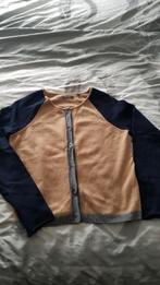 vest Marco Polo, Ophalen of Verzenden, Zo goed als nieuw, Maat 38/40 (M), Bruin