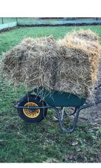 Hooibaaltjes, juni 2025, Dieren en Toebehoren, Dierenvoeding, Ophalen, Vee