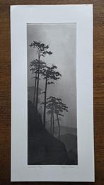 Ets/aquatint Parasoldennen in berglandschap, 1977, Antiek en Kunst, Ophalen of Verzenden