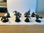Warhammer Ork Beastsnagga Boyz - Geschilderd!, Figuurtje(s), Ophalen of Verzenden, Geverfd, Warhammer 40000
