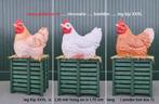 Kip XXXXL en XXXL en XXL  , Haas Konijn XXL en  XXXL, Ophalen of Verzenden, Nieuw, Kunststof, Dierenbeeld