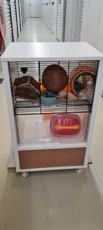 Hamsterkooi, Dieren en Toebehoren, Knaagdieren en Konijnen | Hokken en Kooien, Kooi, Minder dan 75 cm, Hamster, Ophalen