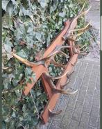 Onwijs toffe antieke gewei geweien kapstok hert herten vinta, Ophalen, Zo goed als nieuw, Hert, Gewei of Kop