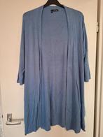 Vest blauw. 40, Ophalen of Verzenden, Gedragen, Maat 38/40 (M), Blauw