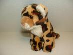 PANDA ALBERT HEIJN LUIPAARD WELP UIT HET, Ophalen of Verzenden, Nieuw, Overige typen